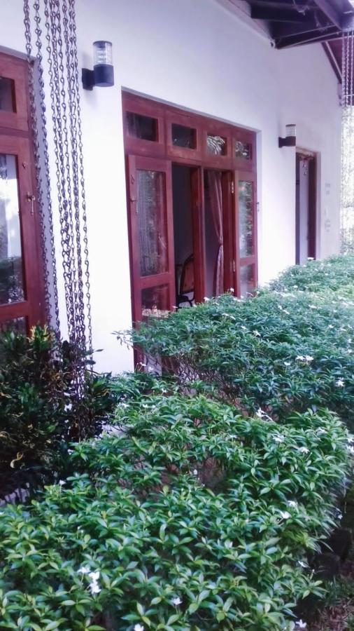 Villa Delorenta أنرادابورام المظهر الخارجي الصورة